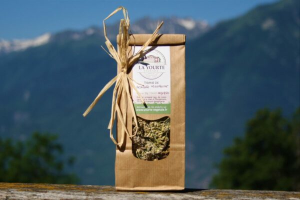 tisane achillée millefeuille soins naturopathie nature ferme bio yourte végétale saint françois longchamp savoie bien être