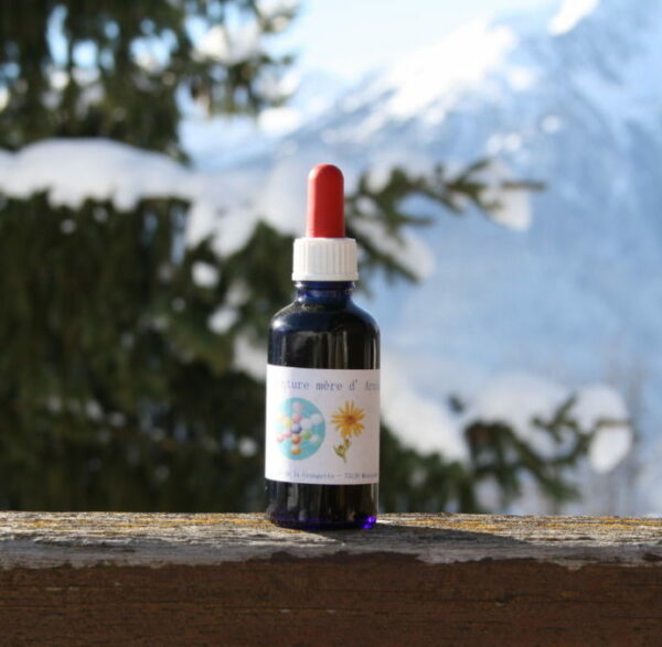 Arnica teinture mère bio yourte végétale montaimont saint françois longchamp savoie ferme agriculture