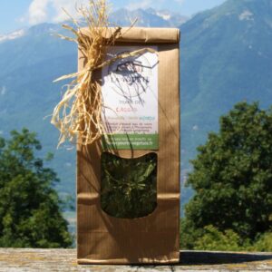 tisane de feuilles de cassis soins naturopathie nature ferme bio yourte végétale saint françois longchamp savoie bien être