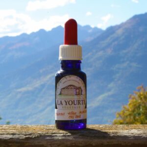 'Achillée Millefeuille bio yourte végétale montaimont saint françois longchamp savoie ferme agriculture