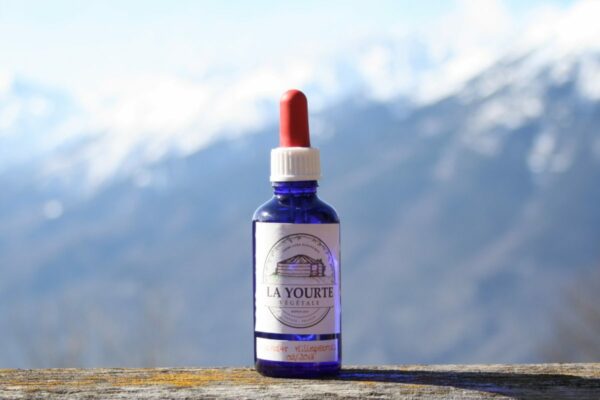 hydrolat millepertuis bio yourte végétale montaimont saint françois longchamp savoie ferme agriculture