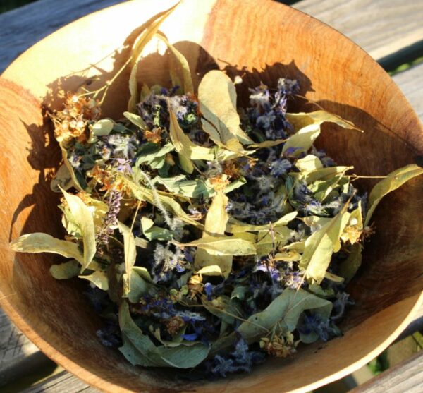 tisane un soir d'été soins naturopathie nature ferme bio yourte végétale saint françois longchamp savoie bien être