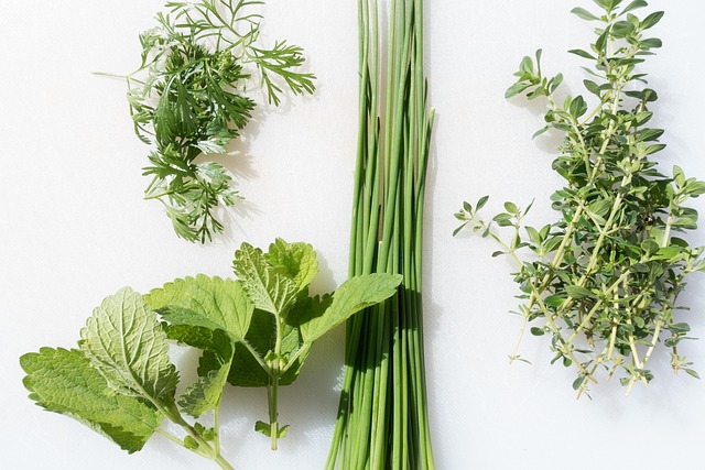Thym serpolet et autres plantes aromatiques pour la cuisine